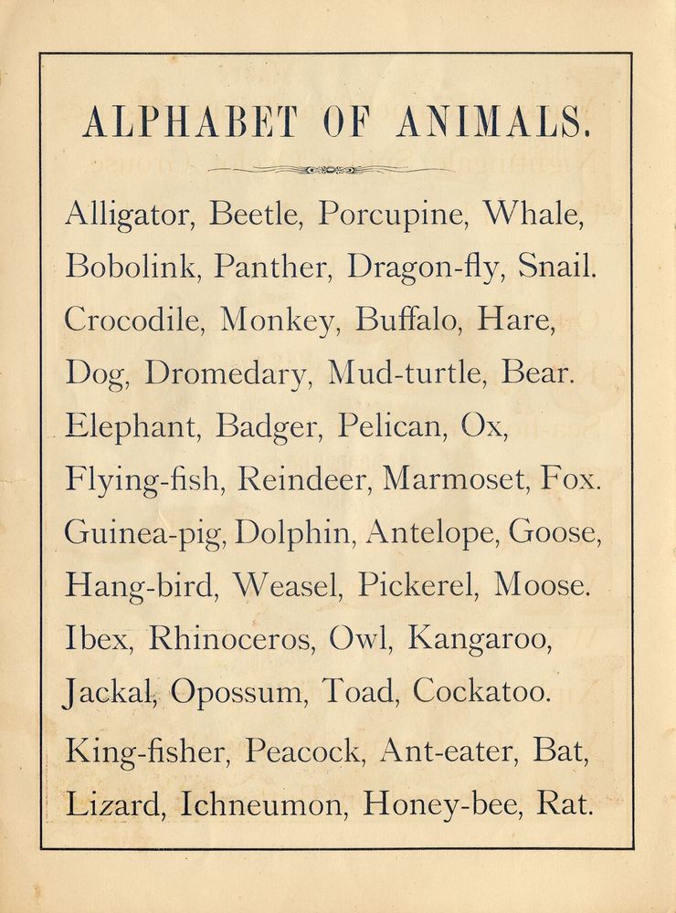 Scan 0008 of The ABC of animals [State 1]