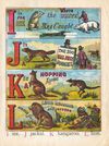Thumbnail 0007 of The ABC of animals [State 2]