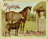 Thumbnail 0001 of An animal alphabet