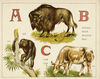 Thumbnail 0003 of An animal alphabet