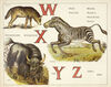 Thumbnail 0014 of An animal alphabet