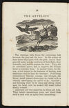 Thumbnail 0020 of Animal biography, or, Book of natural history