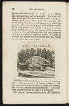 Thumbnail 0024 of Animal biography, or, Book of natural history