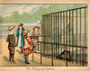 Thumbnail 0009 of Behind the bars at the zoo