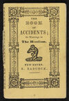Read The book of accidents, or, Warnings to the heedless