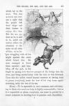 Thumbnail 0049 of Favourite book of fables
