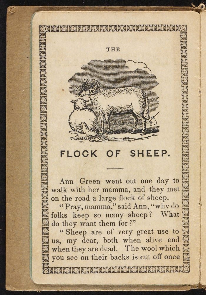 Scan 0006 of The flock of sheep, or, Familiar explanations of simple facts