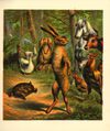Thumbnail 0011 of Hare and the tortoise