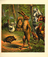 Thumbnail 0007 of Hare and the tortoise