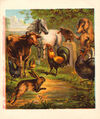Thumbnail 0012 of Hare and the tortoise