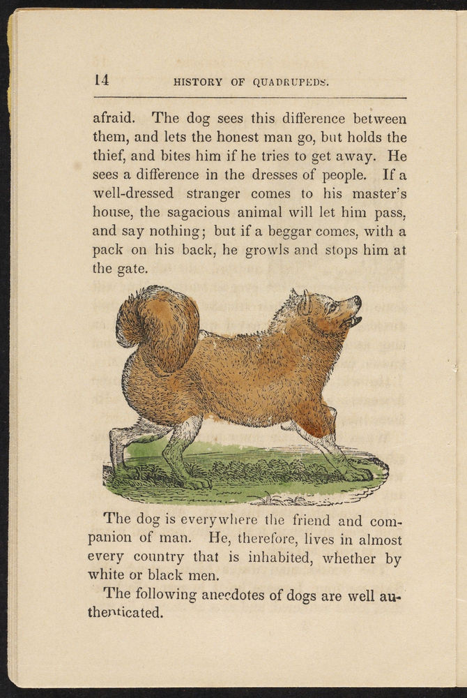 Scan 0016 of History of quadrupeds