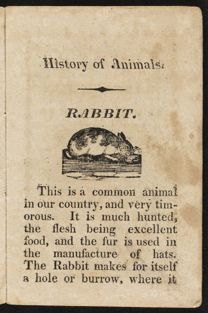 Scan 0005 of History of animals