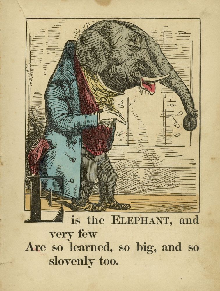 Scan 0009 of Illustrated gift book : Alphabet of animals, Aunt Effie