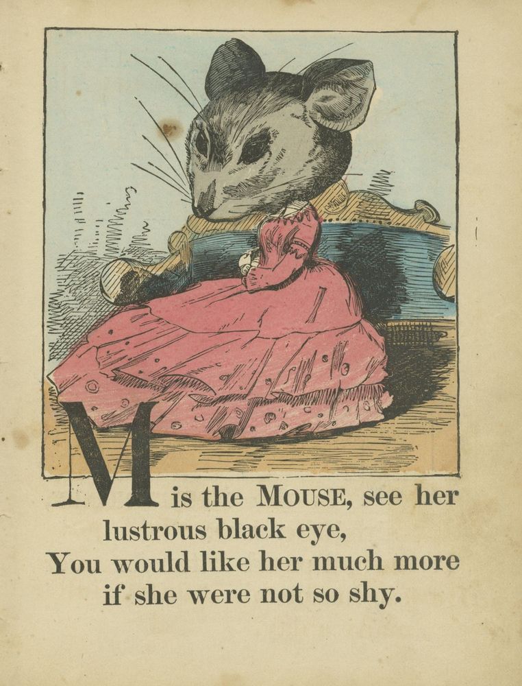 Scan 0017 of Illustrated gift book : Alphabet of animals, Aunt Effie