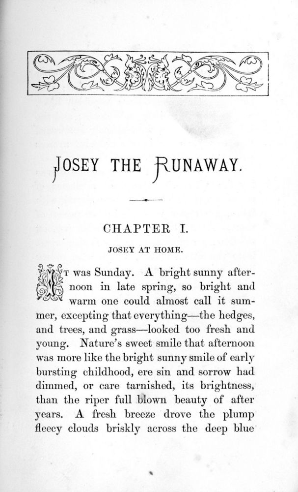 Scan 0011 of Josey the runaway