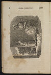 Thumbnail 0008 of The life and death of Eliza Thornton