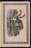 Thumbnail 0019 of Museum of foreign animals, or, History of beasts
