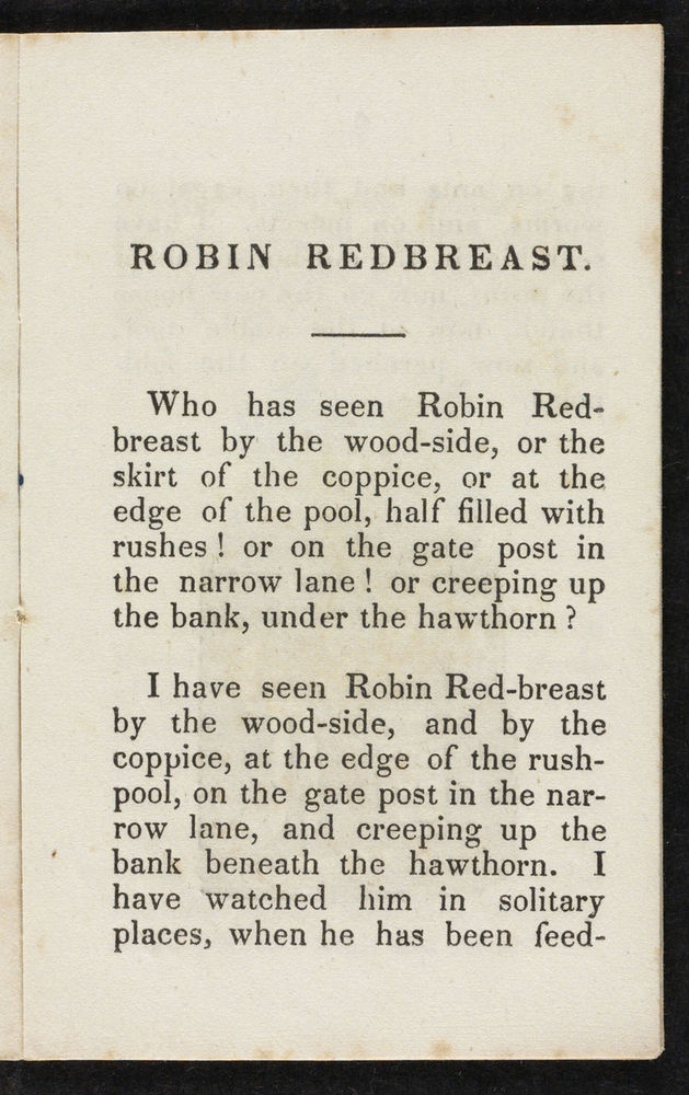 Scan 0005 of Robin Redbreast