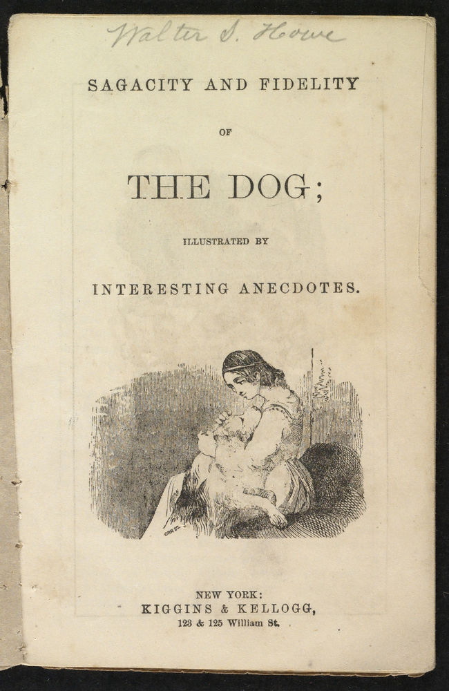 Scan 0003 of Sagacity and fidelity of the dog