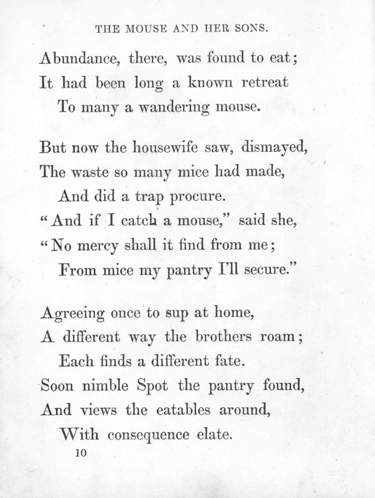 Scan 0017 of Surprising stories about the mouse and her sons, and the funny pigs