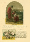 Thumbnail 0012 of The delightful colored picture book