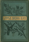 Read The little brown bird