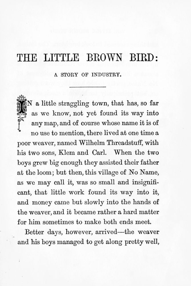 Scan 0008 of The little brown bird