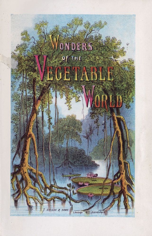 Scan 0005 of Wonders of the vegetable world