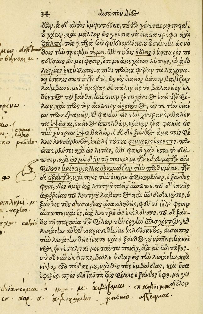 Scan 0038 of Aesopi Phrygis Fabellae Graece et Latine