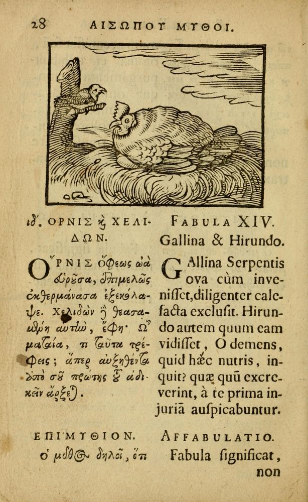 Scan 0032 of Fabulæ Æsopi Graecè & Latinè, nunc denuo selectæ