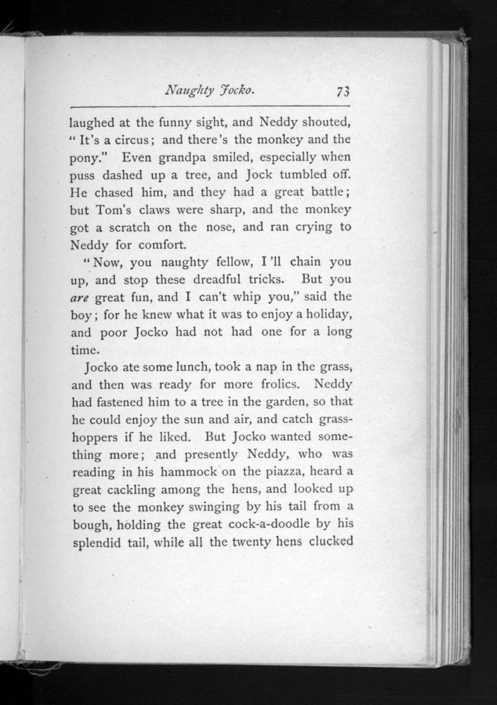 Scan 0077 of The Louisa Alcott reader