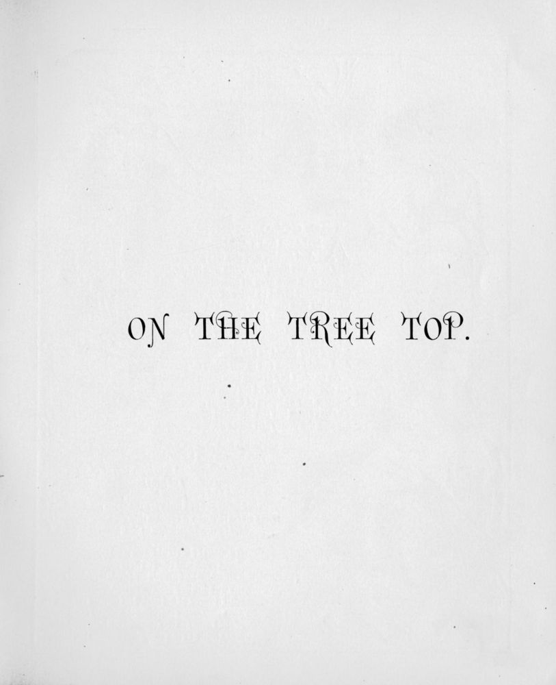 Scan 0008 of On the tree top