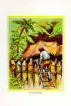 Thumbnail 0075 of The adventures of Robinson Crusoe