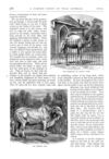 Thumbnail 0024 of St. Nicholas. August 1874