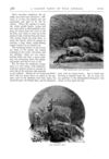 Thumbnail 0026 of St. Nicholas. August 1874