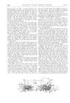 Thumbnail 0028 of St. Nicholas. August 1874