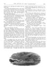 Thumbnail 0039 of St. Nicholas. August 1874