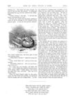 Thumbnail 0044 of St. Nicholas. August 1874