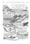 Thumbnail 0008 of St. Nicholas. September 1874