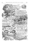 Thumbnail 0009 of St. Nicholas. September 1874