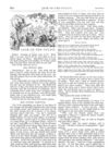 Thumbnail 0058 of St. Nicholas. September 1874