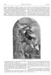 Thumbnail 0027 of St. Nicholas. January 1875