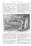 Thumbnail 0046 of St. Nicholas. January 1875