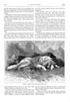 Thumbnail 0044 of St. Nicholas. March 1875