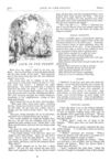 Thumbnail 0061 of St. Nicholas. March 1875
