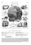 Thumbnail 0067 of St. Nicholas. March 1875