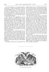 Thumbnail 0023 of St. Nicholas. July 1875