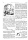 Thumbnail 0055 of St. Nicholas. February 1876
