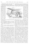 Thumbnail 0012 of St. Nicholas. October 1877