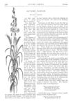 Thumbnail 0031 of St. Nicholas. October 1877